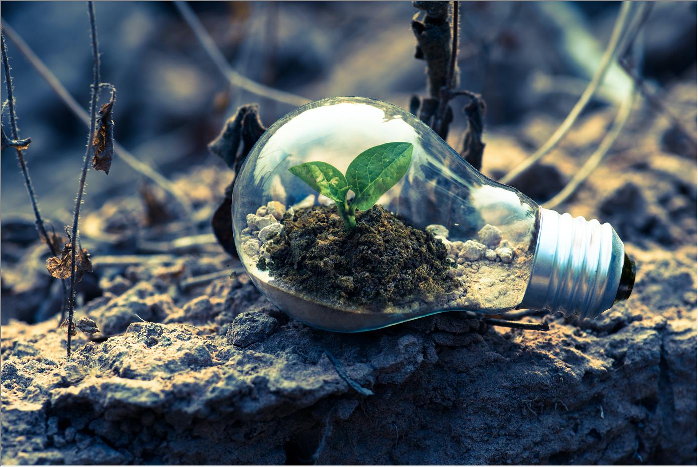 建筑項(xiàng)目的最新趨勢(shì)是什么？